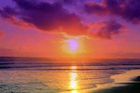 The Monterey Beach Resort Сант Пит Бич Экстерьер фото